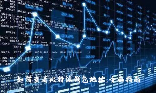 如何查看比特派钱包地址:全面指南