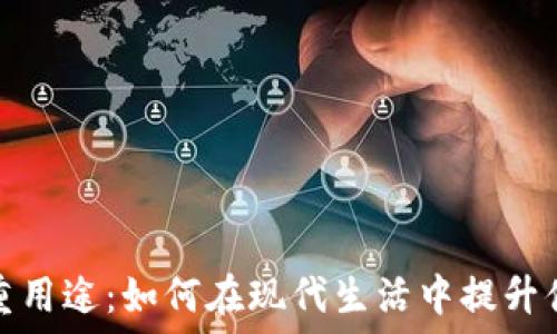 数字钱包的多重用途:如何在现代生活中提升便捷性与安全性
