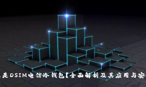 什么是DSIM电信冷钱包?全面解析及其应用与安全性