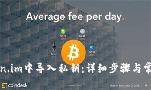如何在Token.im中导入私钥:详细步骤与常见问题解答