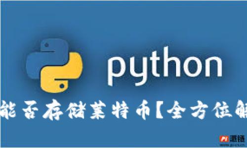 Token.im钱包能否存储莱特币?全方位解析与用户指南