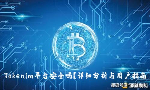 Tokenim平台安全吗?详细分析与用户指南