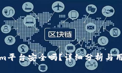Tokenim平台安全吗?详细分析与用户指南