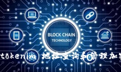 如何使用 tokenim 地址查询和管理加密货币资产