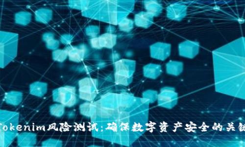 详解Tokenim风险测试:确保数字资产安全的关键步骤