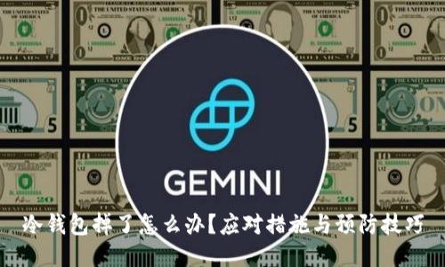 冷钱包掉了怎么办?应对措施与预防技巧