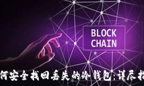 如何安全找回丢失的冷钱包:详尽指南
