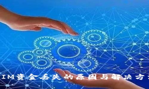 TokenIM资金丢失的原因与解决方法详解