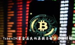 TokenIM资金丢失的原因与解决方法详解