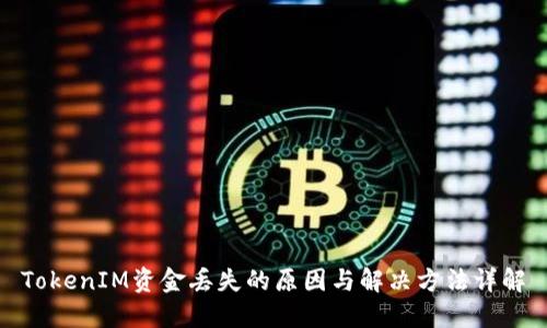 TokenIM资金丢失的原因与解决方法详解