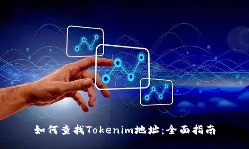 如何查找Tokenim地址:全面指南