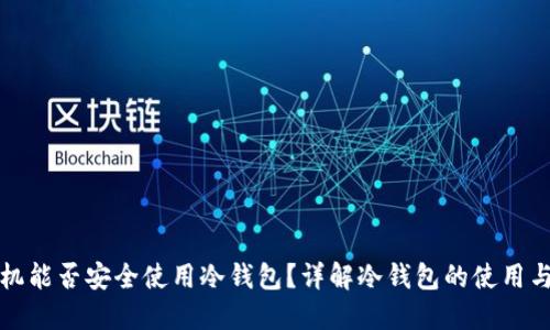 私人手机能否安全使用冷钱包?详解冷钱包的使用与安全性