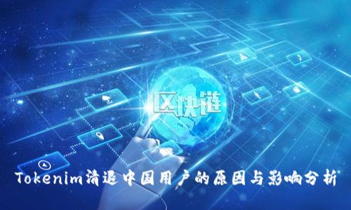 Tokenim清退中国用户的原因与影响分析