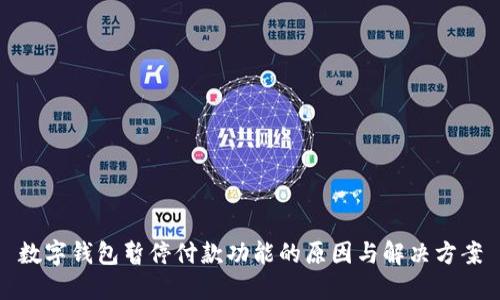 数字钱包暂停付款功能的原因与解决方案