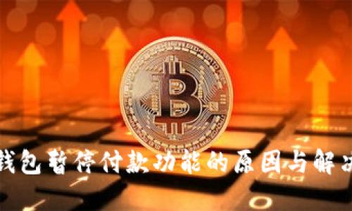 数字钱包暂停付款功能的原因与解决方案