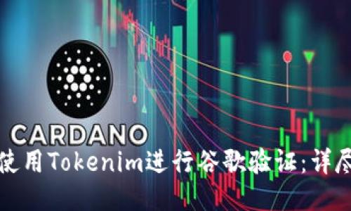 如何使用Tokenim进行谷歌验证:详尽指南