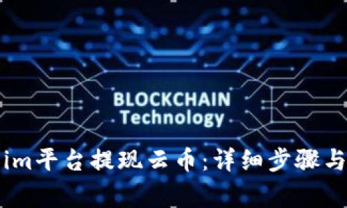 如何在Token.im平台提现云币:详细步骤与常见问题解答