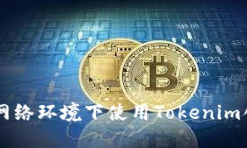 如何在无网络环境下使用Tokenim创建新项目