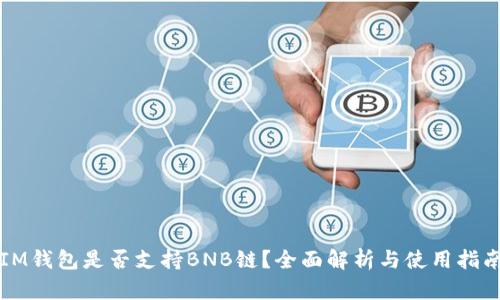 IM钱包是否支持BNB链?全面解析与使用指南