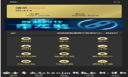 如何安全导出Tokenim钱包私钥:详细指南