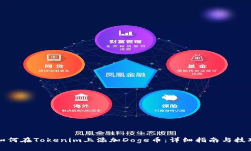 如何在Tokenim上添加Doge币:详细指南与技巧