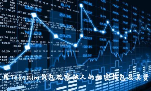 如何使用Tokenim钱包观察他人的加密钱包及其资产分析