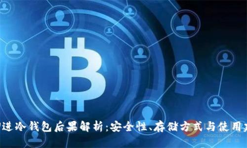 黑U进冷钱包后果解析:安全性、存储方式与使用建议