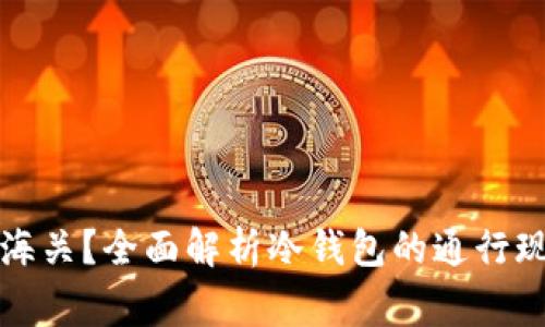冷钱包能否过海关?全面解析冷钱包的通行现状与注意事项