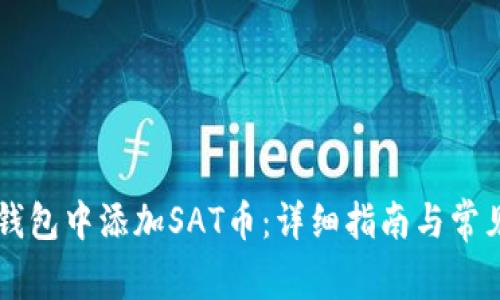 如何在im钱包中添加SAT币:详细指南与常见问题解析