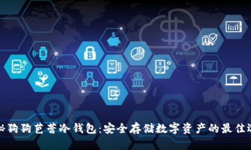 揭秘狗狗芭蕾冷钱包：安全存储数字资产的最佳选择