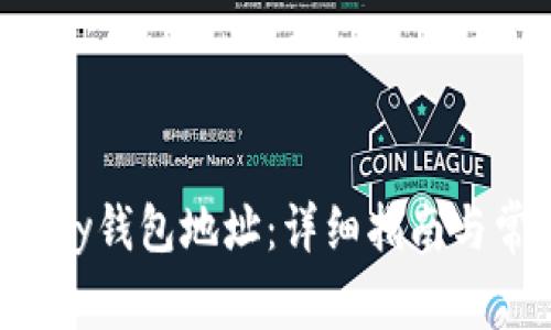 如何找到Topay钱包地址：详细指南与常见问题解答