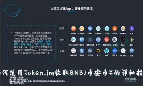 如何使用Token.im收取BNB（币安币）的详细指南