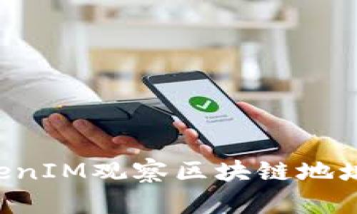 如何使用TokenIM观察区块链地址：全方位指南