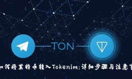 : 如何将莱特币转入Tokenim：详细步骤与注意事项