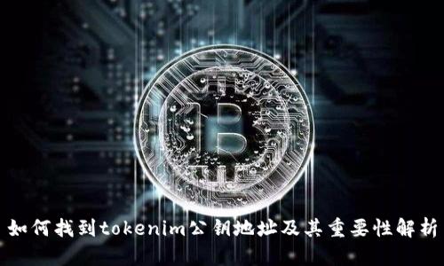 如何找到tokenim公钥地址及其重要性解析