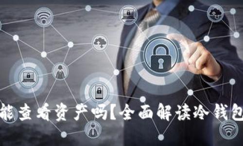 冷钱包不联网也能查看资产吗?全面解读冷钱包的功能与安全性
