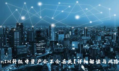 TokenIM升级中资产会不会丢失?详细解读与风险预防
