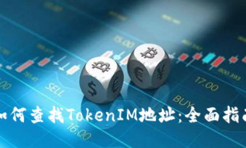 如何查找TokenIM地址:全面指南