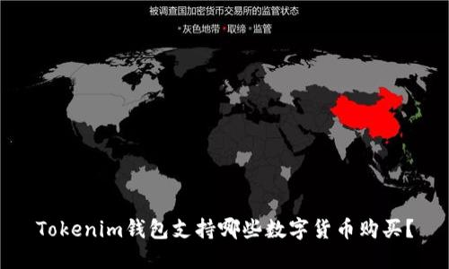 Tokenim钱包支持哪些数字货币购买?