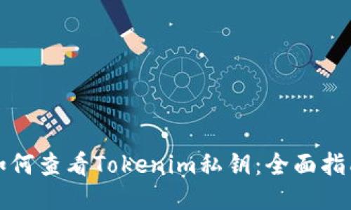 如何查看Tokenim私钥:全面指南