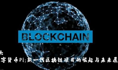 大
数字货币Pi:新一代区块链项目的崛起与未来展望