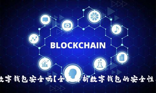 Upay数字钱包安全吗？全面解析数字钱包的安全性与风险