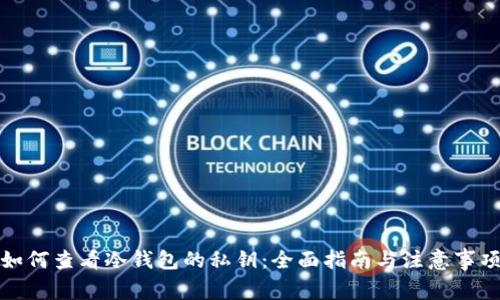 如何查看冷钱包的私钥:全面指南与注意事项