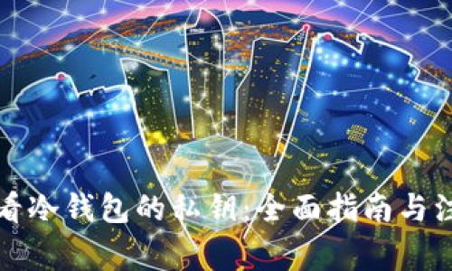 如何查看冷钱包的私钥:全面指南与注意事项