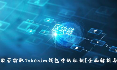恶意程序能否窃取Tokenim钱包中的私钥?全面解析与防护建议