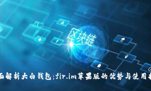 全面解析大白钱包:fir.im苹果版的优势与使用指南