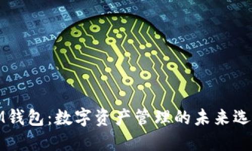 IM钱包:数字资产管理的未来选择