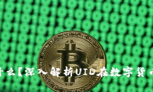 数字货币UID是什么?深入解析UID在数字货币中的含义与应用
