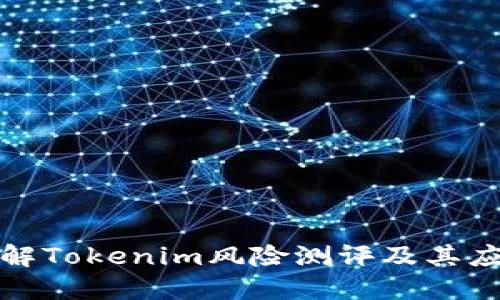 深入了解Tokenim风险测评及其应用价值