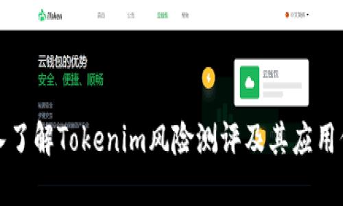 深入了解Tokenim风险测评及其应用价值